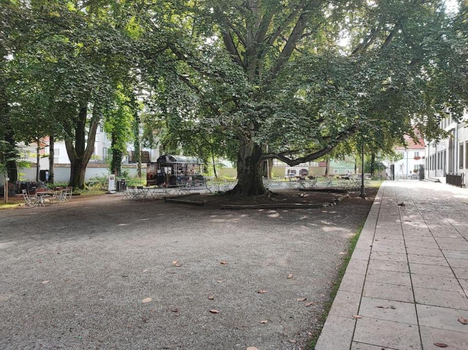 -Stadthaus Ida- Mit Grosser Dachterasse, Am Schlosspark, Luftkurort Kisslegg, Boxspringbetten, Kaffeevollautomat, Smarttv, Familienfreundlich, Grosszuegig, Zentral Eksteriør billede